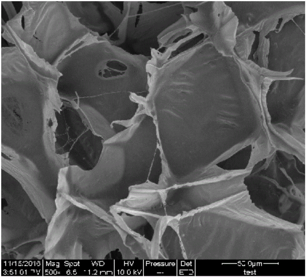 Method for preparing micro-foaming poly lactic acid based wood-plastic composite with supercritical fluid