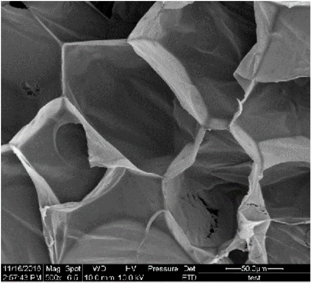 Method for preparing micro-foaming poly lactic acid based wood-plastic composite with supercritical fluid