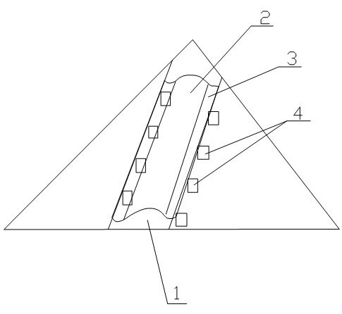 Water-cellars-containing forest fire prevention isolation belt considering fire fighting and irrigation functions