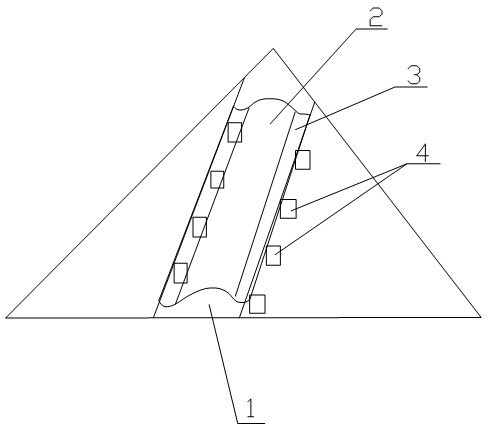 Water-cellars-containing forest fire prevention isolation belt considering fire fighting and irrigation functions