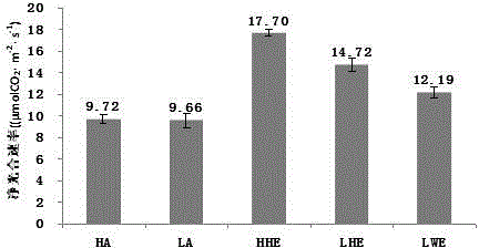 Method for improving quality of cut flower of gerbera by utilizing CO2