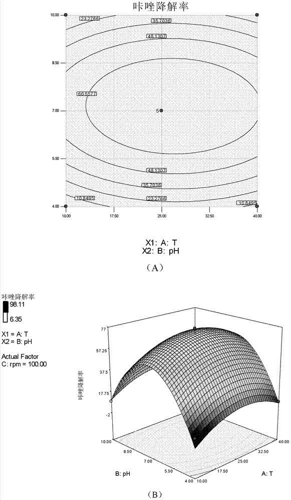 Pseudomonas and application thereof in carbazole degradation