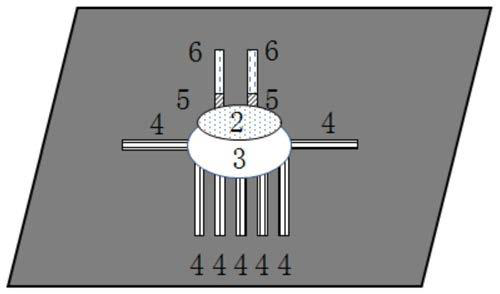 Automatic detection card and detection method of multi-blood group system