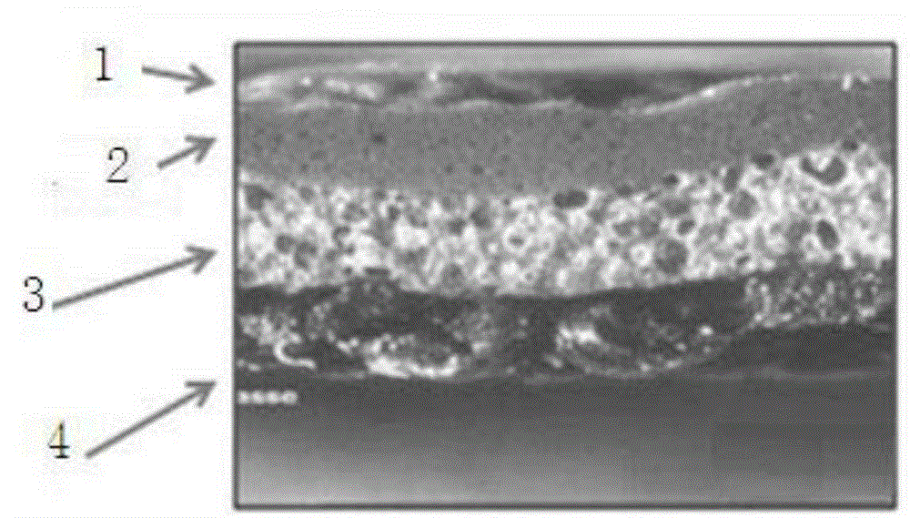 High temperature and amine resistant PVC artificial leather and preparation method thereof