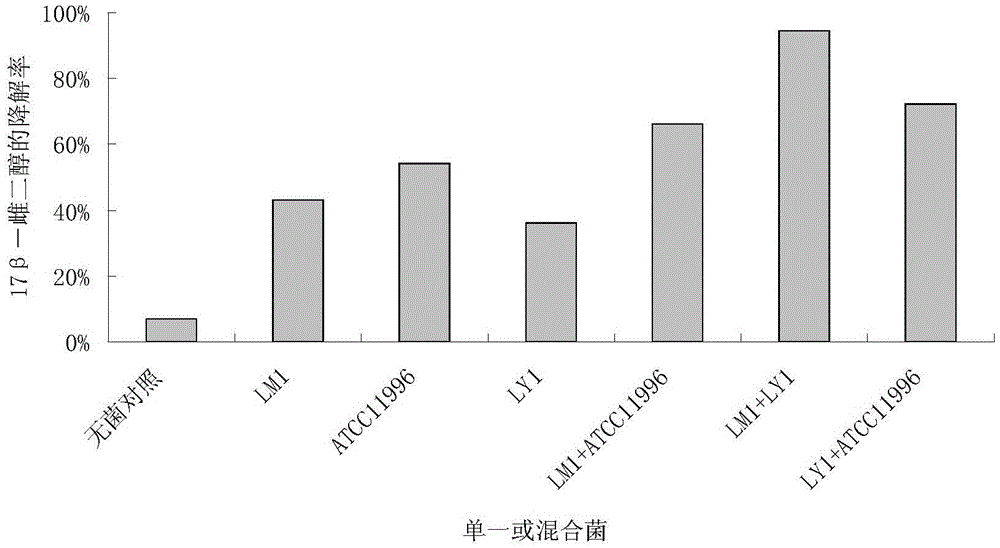 Composite bacterium capable of quickly degrading 17Beta-estradiol and preparation method