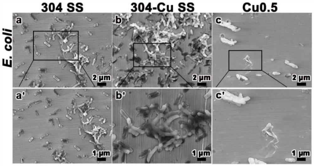 Copper-containing antibacterial high-entropy alloy and preparation method thereof