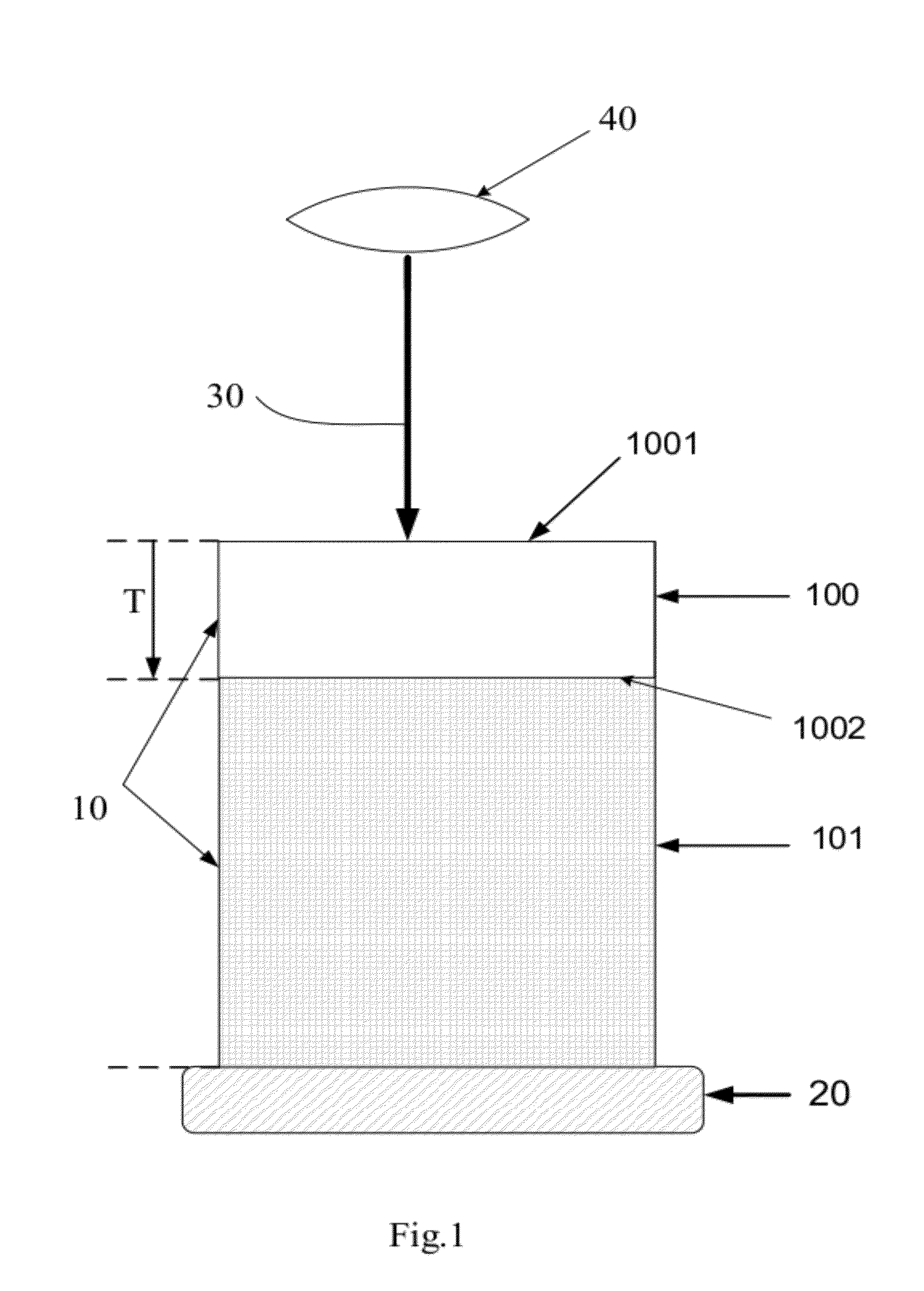 Method for 3-dimensional microscopic visualization of thick biological tissues