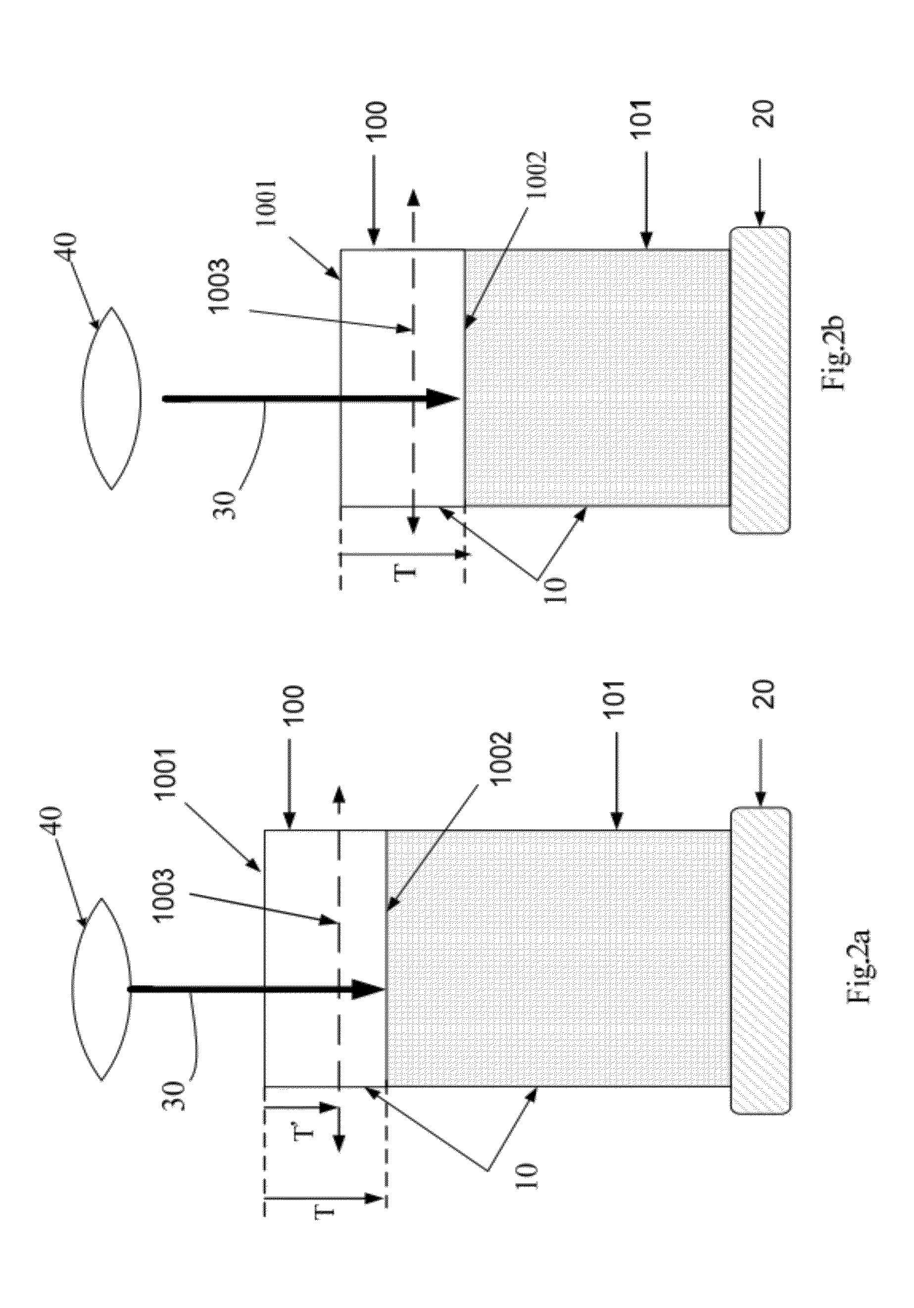 Method for 3-dimensional microscopic visualization of thick biological tissues