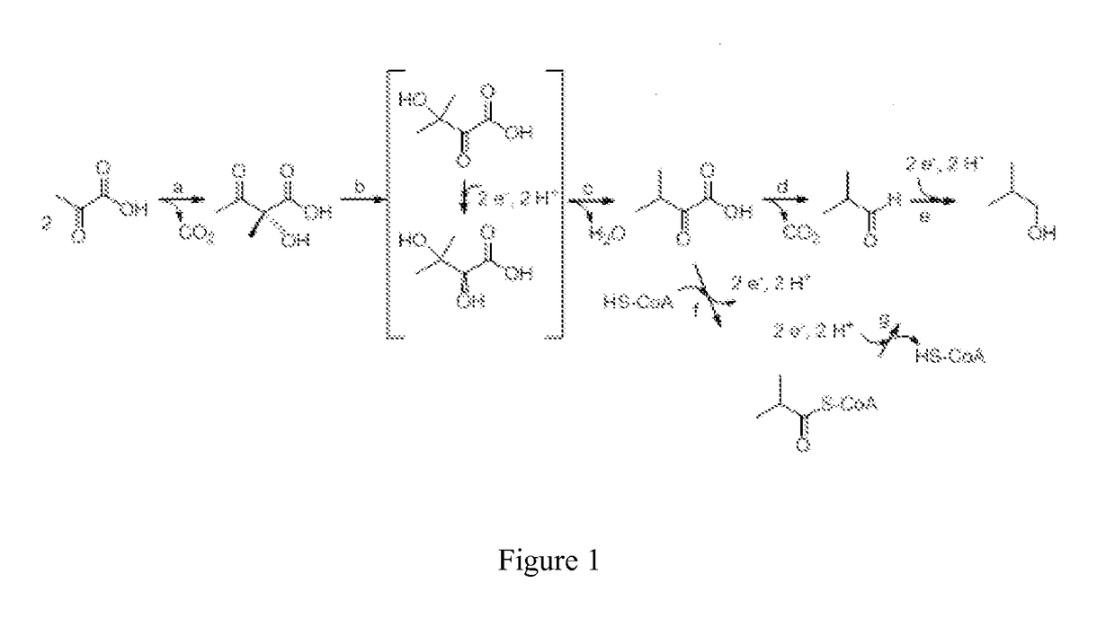 Acetate supplemention of medium for butanologens