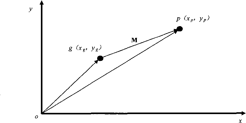 Biological characteristic point topological structure-based random number generator