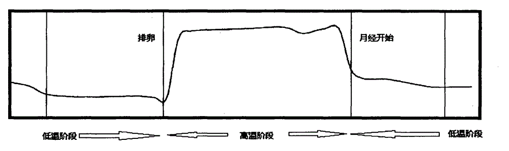 Ovulatory period judging device based on measuring conductive characteristic of saliva and basal body temperature