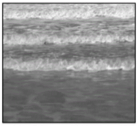 Data driving inshore surge animation synthesis method and system