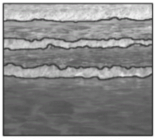 Data driving inshore surge animation synthesis method and system