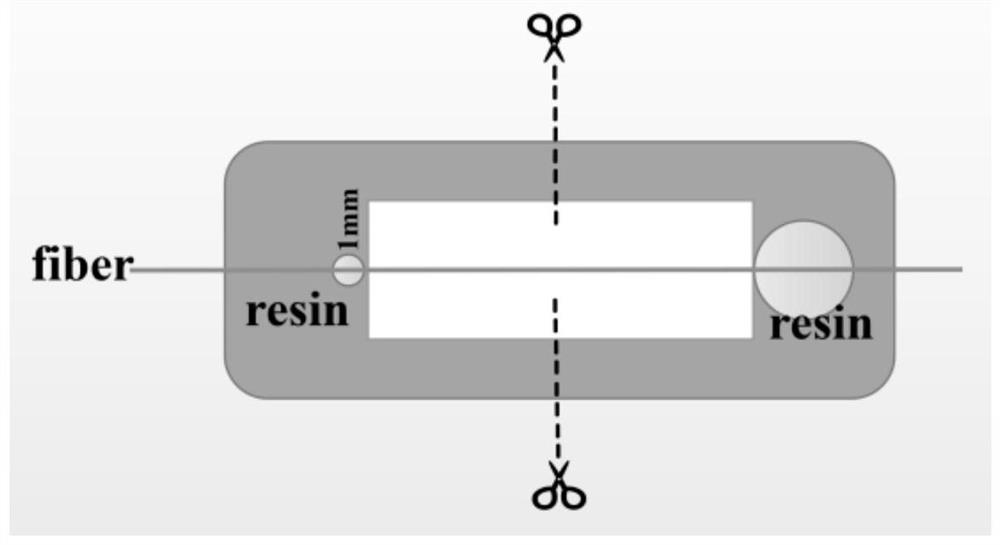 Antibacterial dental cross-scale reinforced resin matrix composite material and its preparation method