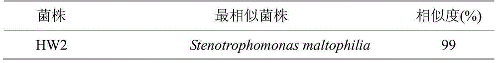 Biocontrol strain HW2 for preventing and treating cucumber green mottle mosaic virus and application of biocontrol strain HW2