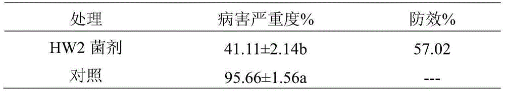 Biocontrol strain HW2 for preventing and treating cucumber green mottle mosaic virus and application of biocontrol strain HW2