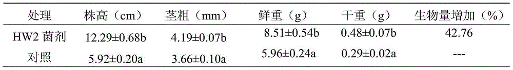 Biocontrol strain HW2 for preventing and treating cucumber green mottle mosaic virus and application of biocontrol strain HW2