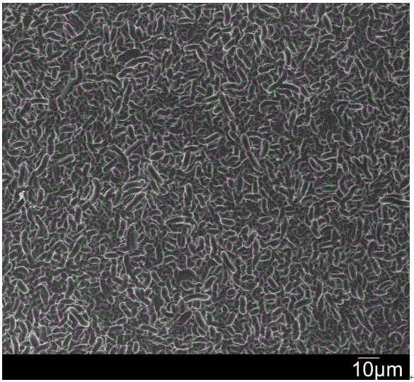 Auxiliary for polycrystalline silicon wafer texturing and its application