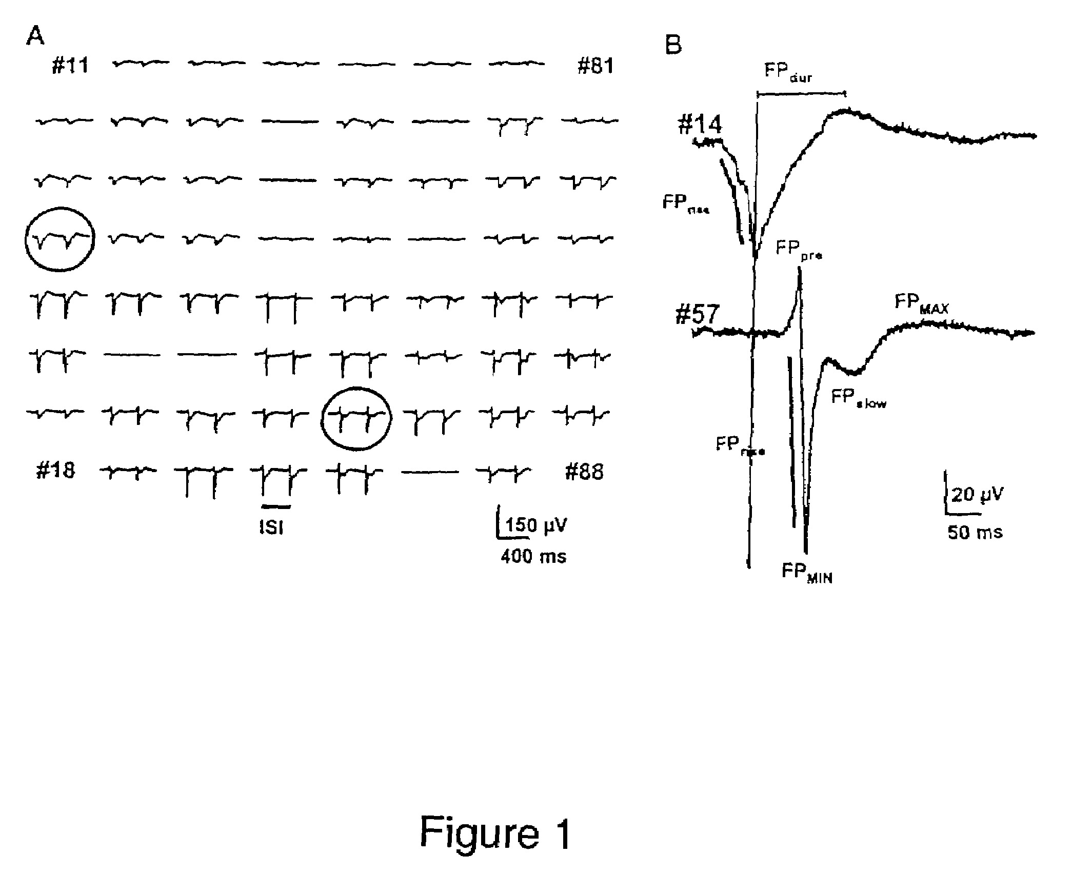 Method for determining the influence of a test substance on the heart activity of a vertebrate