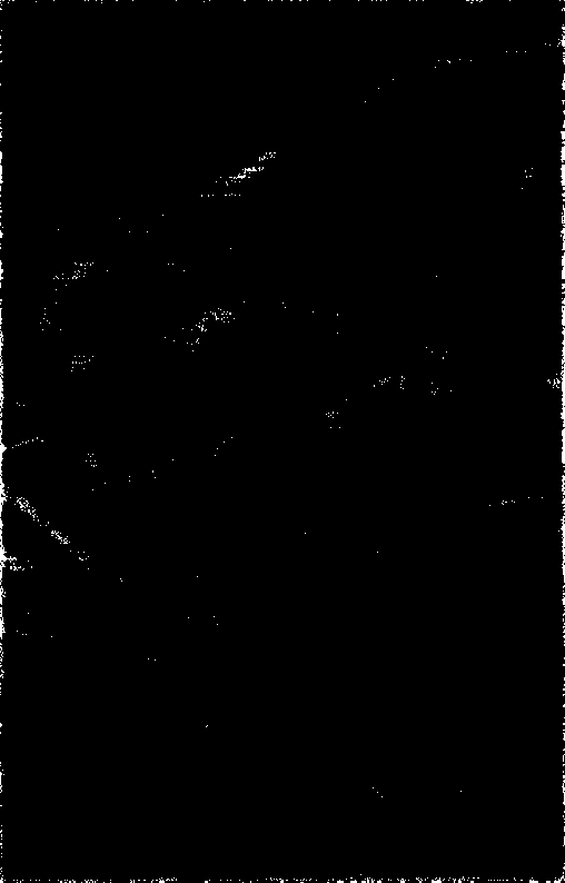 Culture medium as well as preparation method and application thereof