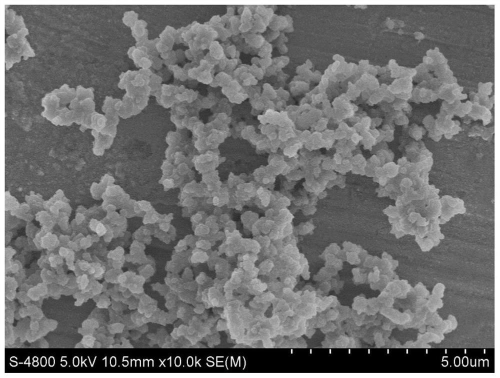 Metal-catechin composite nano-material as well as preparation method and application thereof