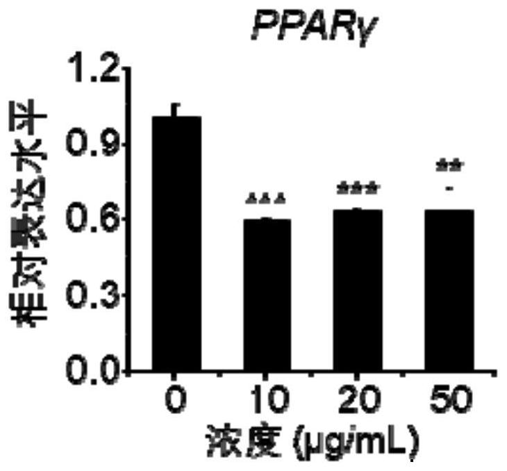 Metal-catechin composite nano-material as well as preparation method and application thereof