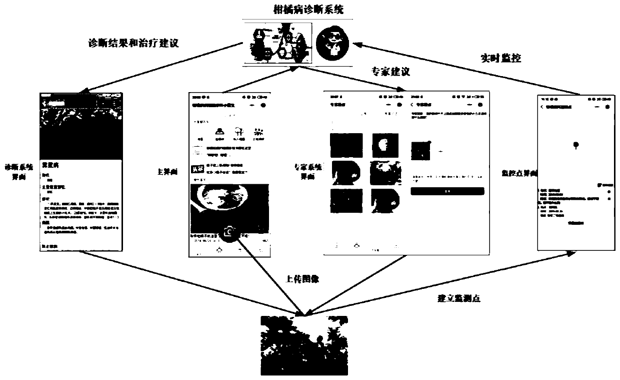 Intelligent citrus disease and pest diagnosis method and system based on deep learning