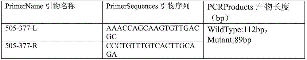 Method utilizing fluorescence PCR technology to identify mouse genotype