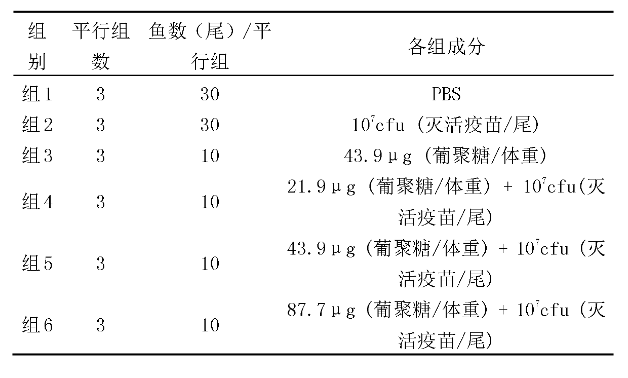 Adjuvant for improving immunization effect of Edwardsiella vaccine and use method of adjuvant