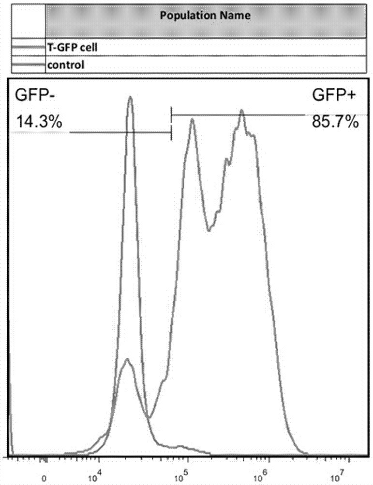 Method for preparing chimeric antigen receptor T cells