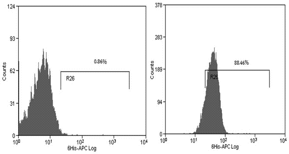 Method for preparing chimeric antigen receptor T cells