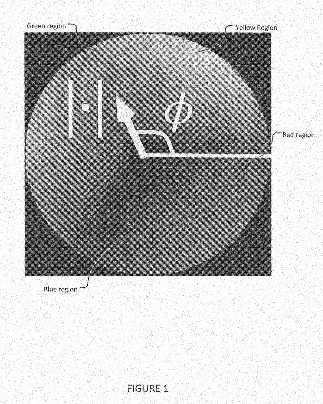 Device and method for spatiotemporal reconstruction of a moving vascular pulse wave in the brain and other organs