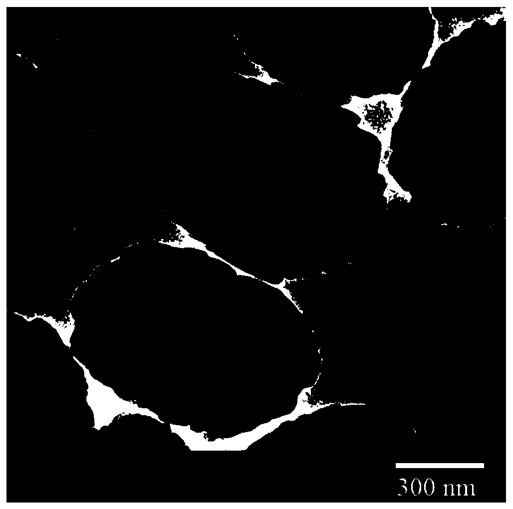 A kind of titanium silicon molecular sieve and preparation method thereof