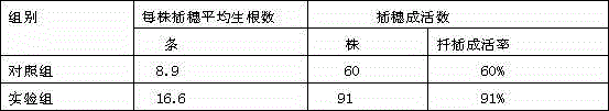 Cutting and rooting agent composition for osmanthus fragrans