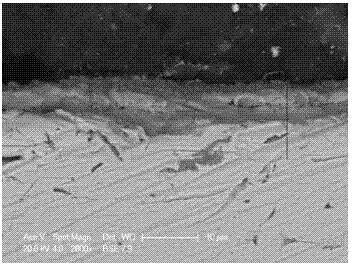 Surface nanocrystallization manufacture method for improving oxidation resistance performance of heat resistant steel