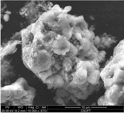 Lithium iron phosphate composite positive electrode material with surface coated with titanium nitride and graphene as well as preparation method and application of material