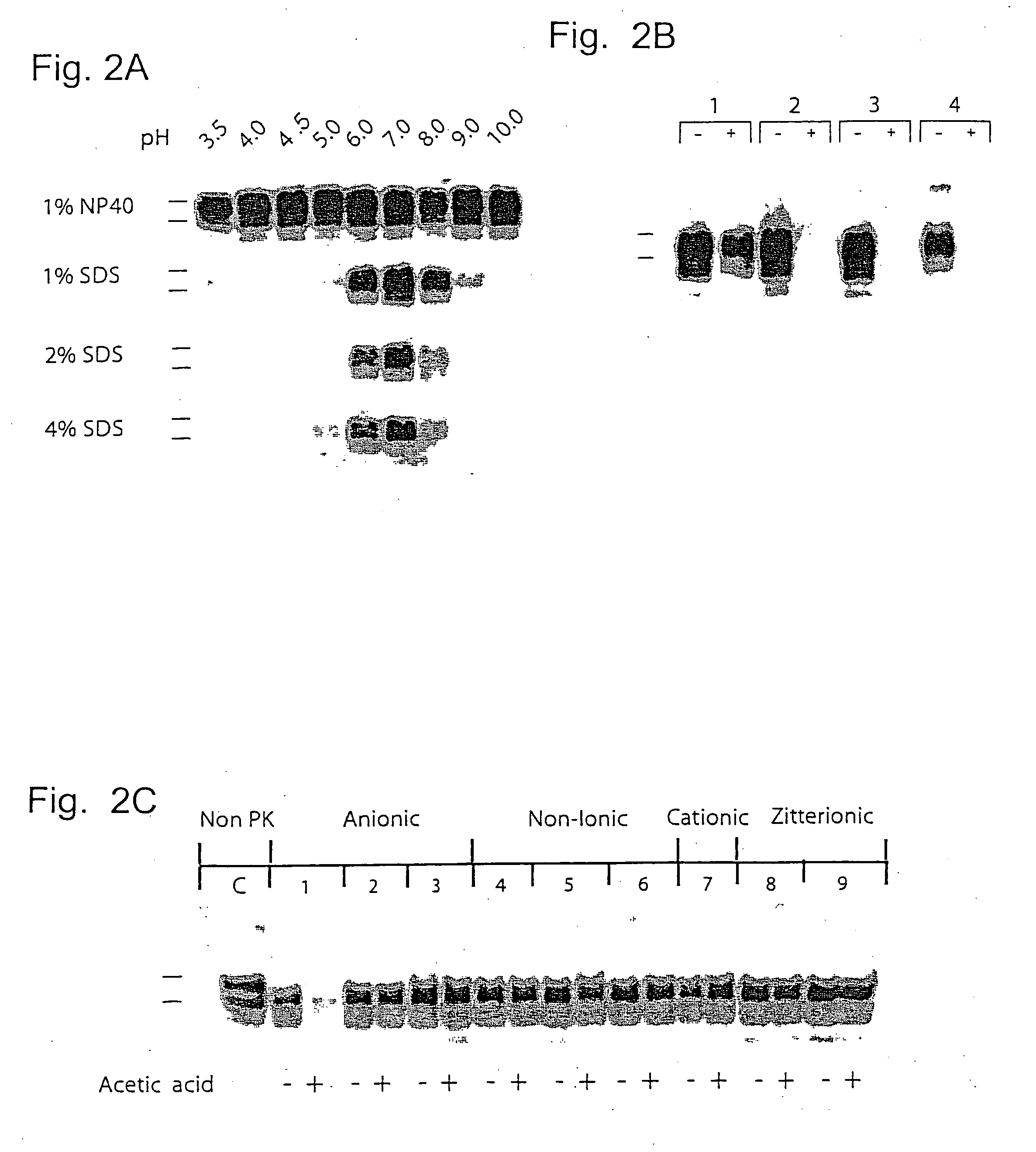 Complete inactivation of infectious proteins