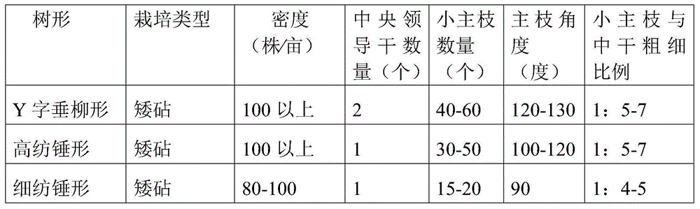 Y-shaped weeping willow-shaped apple tree and pruning method thereof