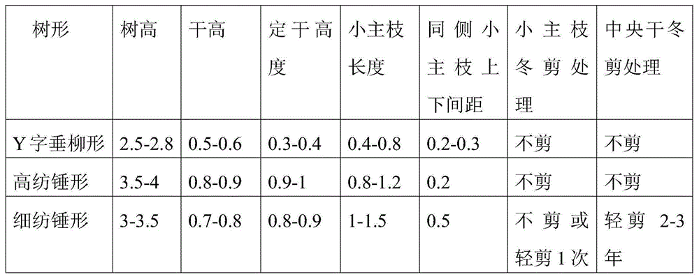 Y-shaped weeping willow-shaped apple tree and pruning method thereof