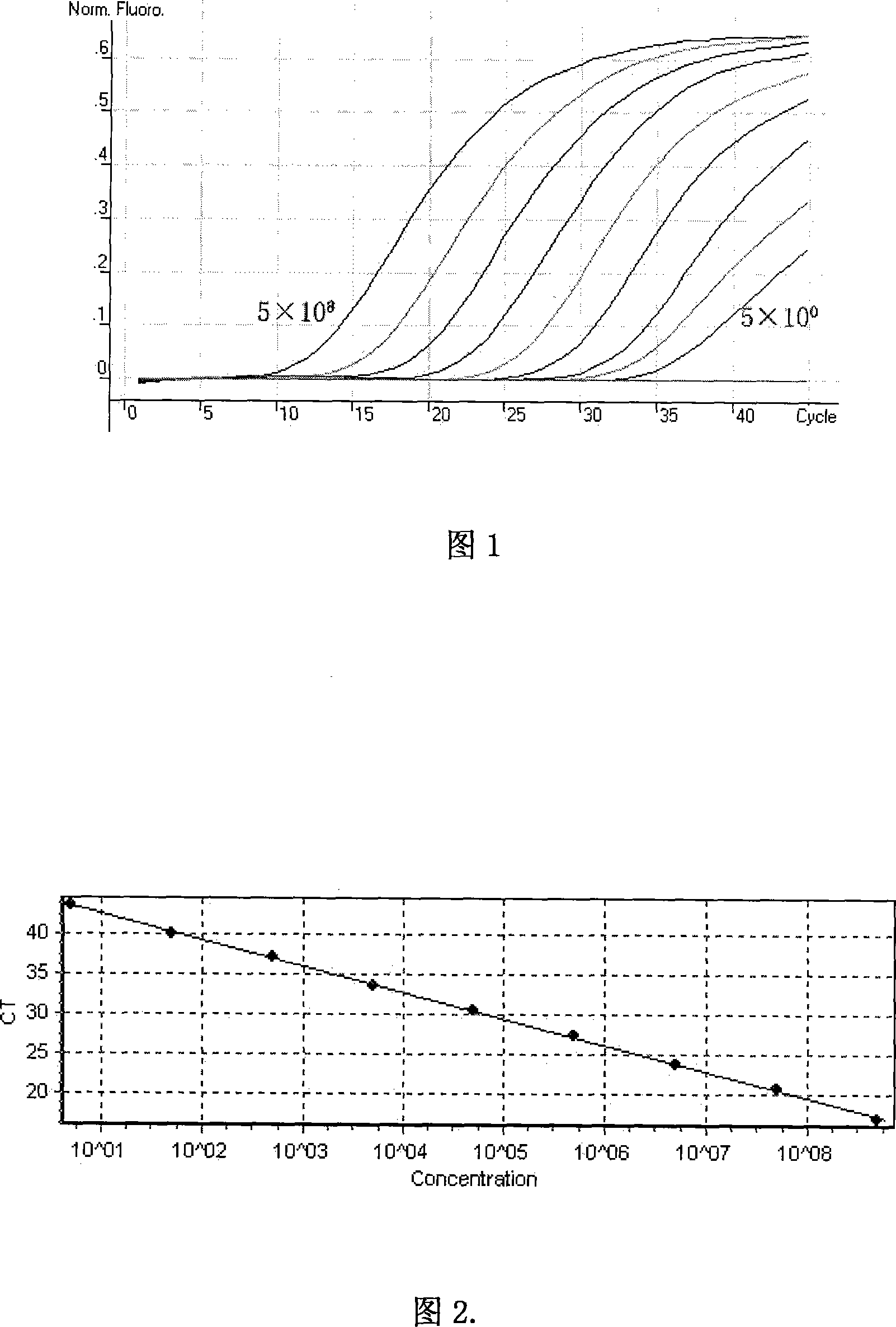 Hepatitis E virus fluorescent quantitative PCR detection method