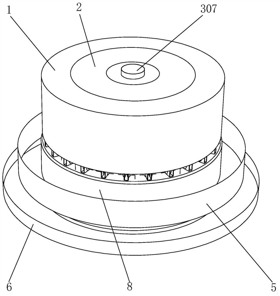 River snail sorting and cleaning device