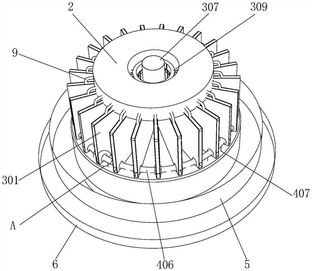 River snail sorting and cleaning device