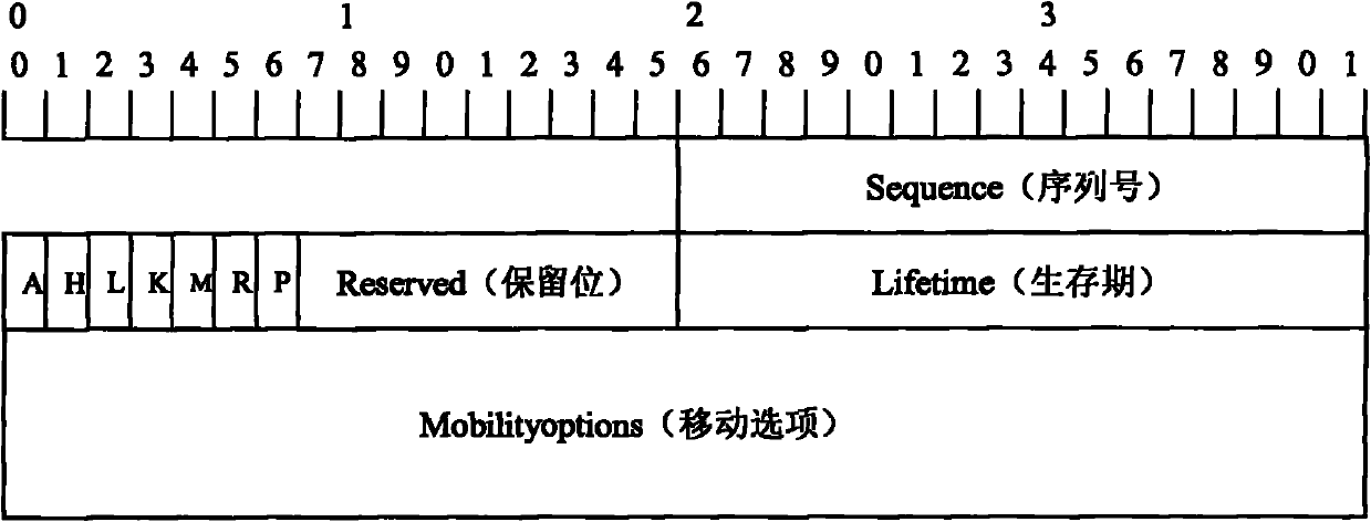 Multiple LMA selection method in mobile node switching process in PWIPv6 domain