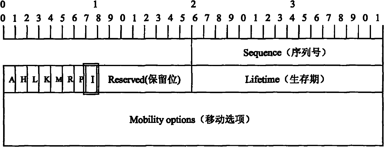 Multiple LMA selection method in mobile node switching process in PWIPv6 domain