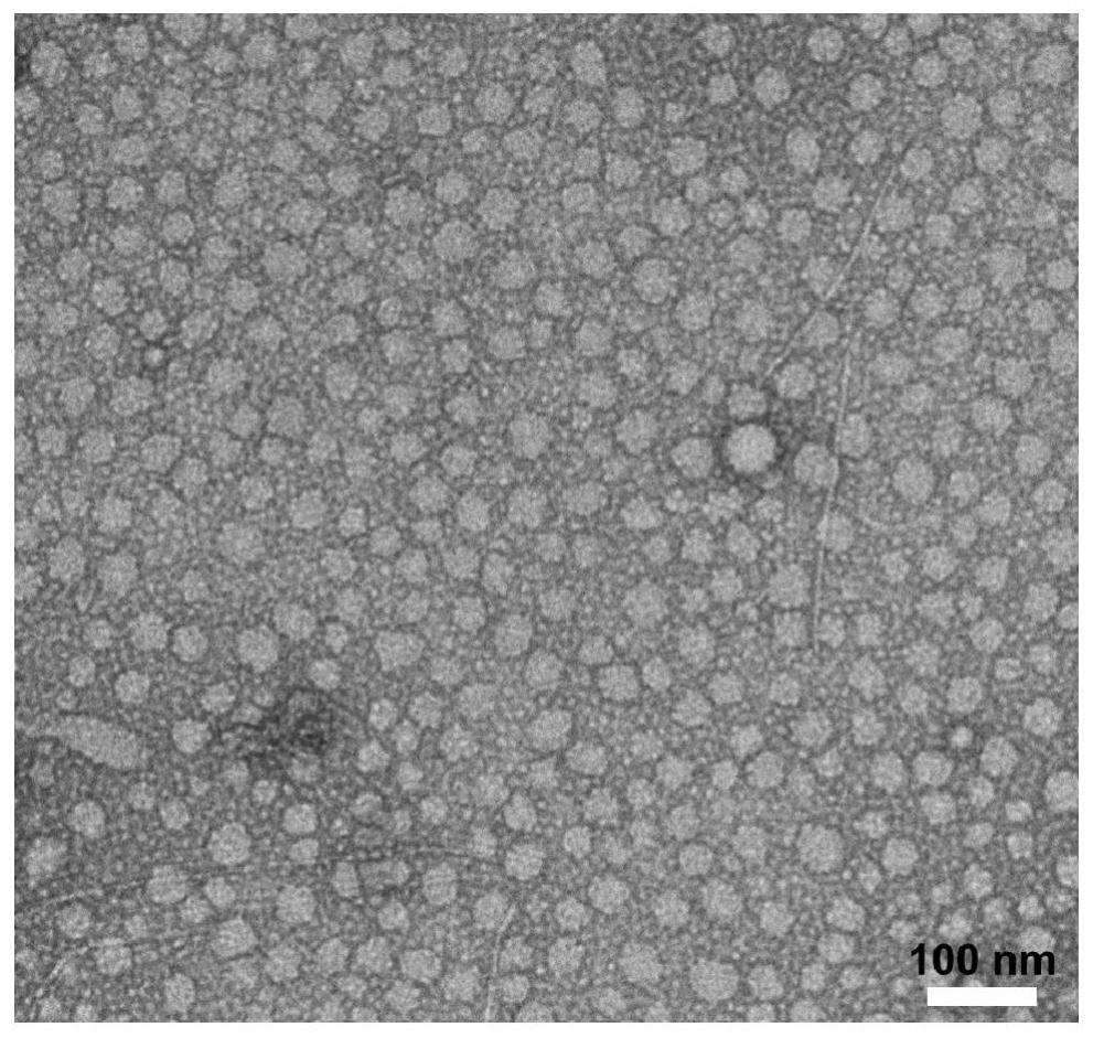 Anti-tumor polypeptide nano-drug carrier targeting PD-L1 and application thereof