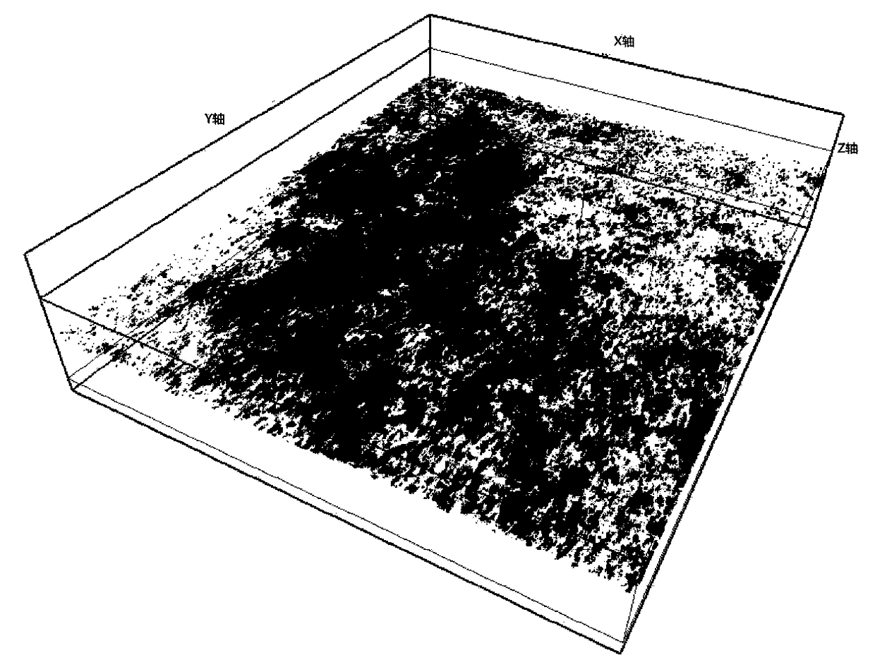 Fine description method and system for tight sandstone reservoirs