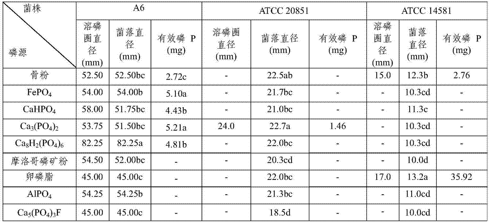 Efficient phosphorus-dissolving growth-promoting bacterium and bio-fertilizer prepared from same as well as application of efficient phosphorus-dissolving growth-promoting bacterium