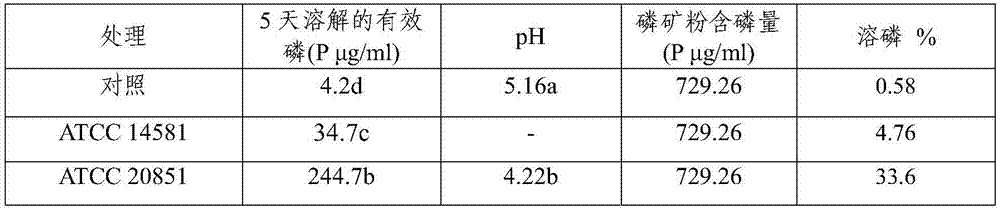 Efficient phosphorus-dissolving growth-promoting bacterium and bio-fertilizer prepared from same as well as application of efficient phosphorus-dissolving growth-promoting bacterium