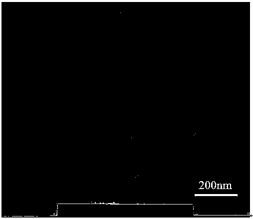 Preparation method of polyethylene glycol modified nano-micelle or vesicle with pH (potential of hydrogen) responsivity and high drug loading capacity