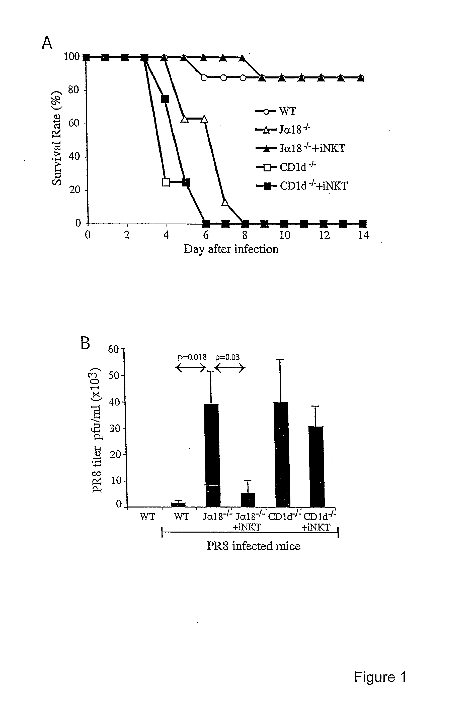 Use of inkt or tlr agonists for protecting against or treating a disease such as acute infection or cancer